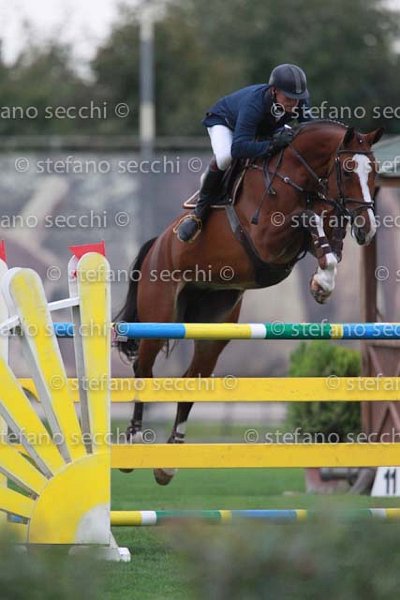 BRACCI_EHRNAN_GIO CAV 2011_(289) SS3_0002.jpg